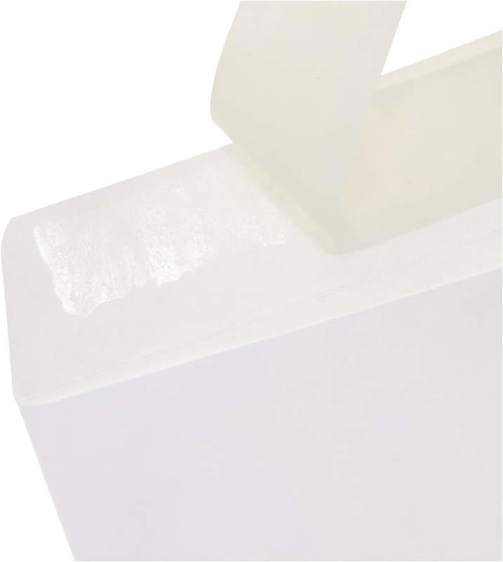 Catalog Mailing Envelopes, Peel and Seal, 9X12 Inch, Strong Quality, 28 Lb White gallery