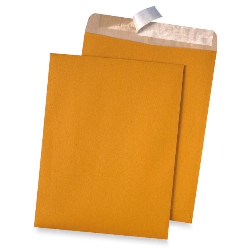 Quality Park QUA44511 Redi-Strip Catalog Envelope 9×12 Kraft 100/box