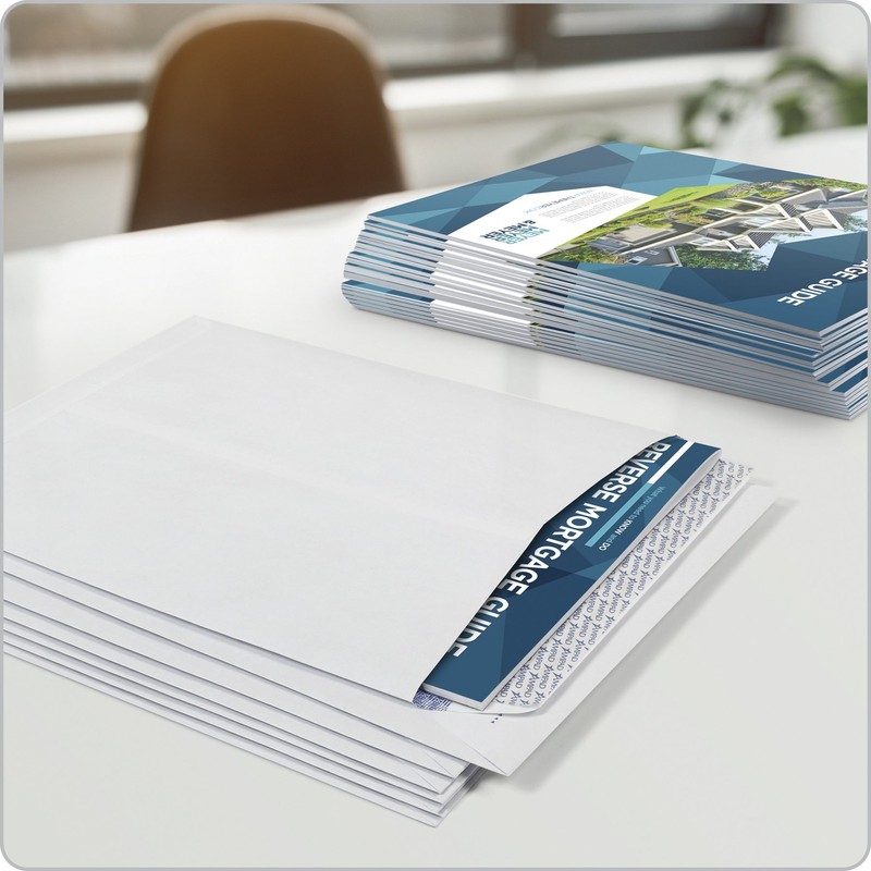 Fastrip Security Catalog Envelope 9 Inch x 12 Inch Peel & Seal Adhesive Secur... gallery