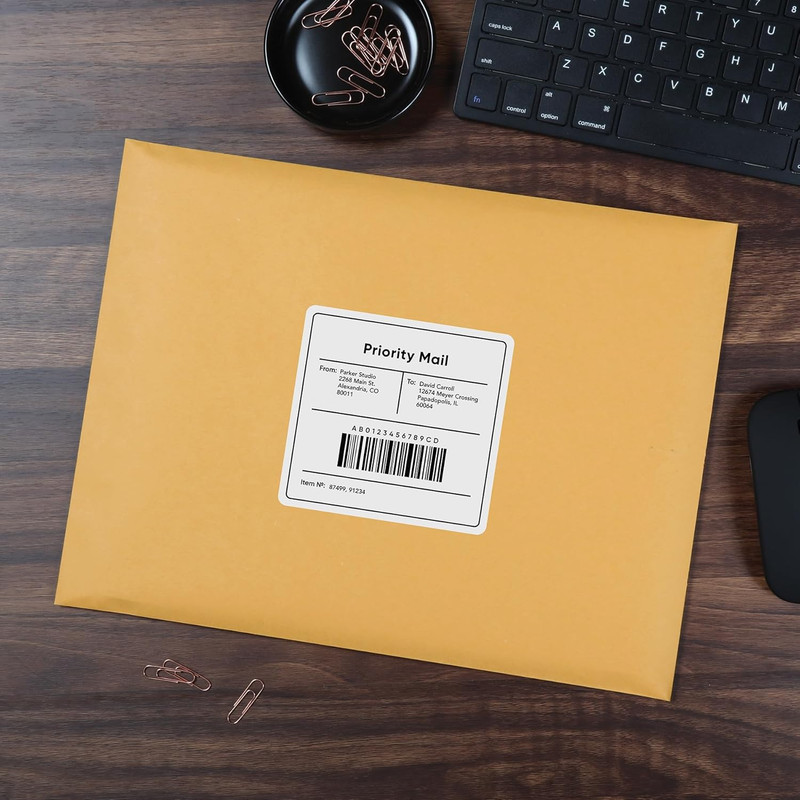 9 X 12 Clasp Envelopes, Deeply Gummed Flaps for Permanent Secure Seal, Great for gallery