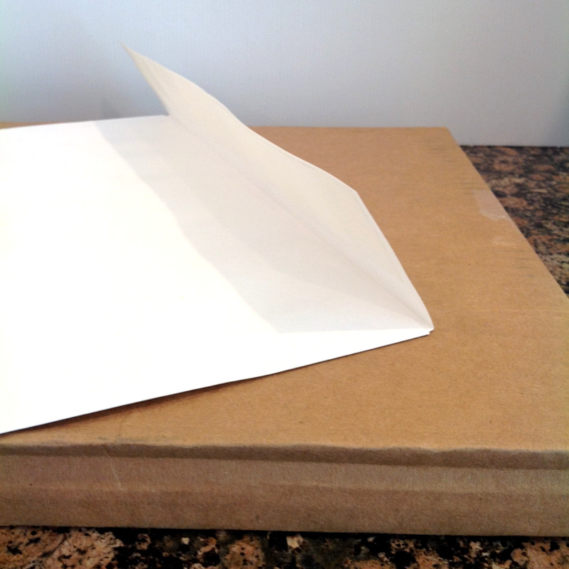 Box of 25 Quality Park Survivor QUAR5101 Tyvek Catalog Mailers 13" x 19" White gallery