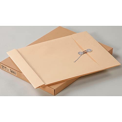 King Corporation Envelopes Preservative Size Square No. 0 with Eyelets 10 Pack