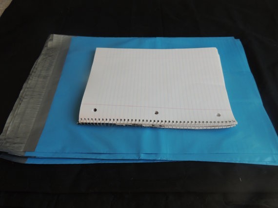20 Pink and Blue 12x15 Flat Poly Postal Mailer Envelopes, Self Sealing USPS Bag gallery