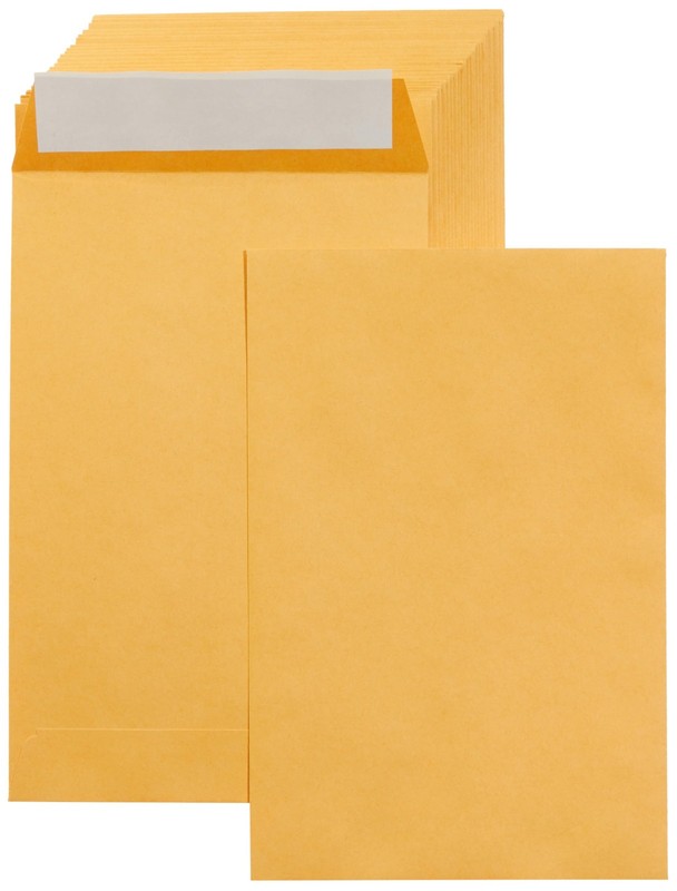 Manilla Envelope 6x9 Manila Self Stick Mailing Safe Security Business No.1 100pk gallery