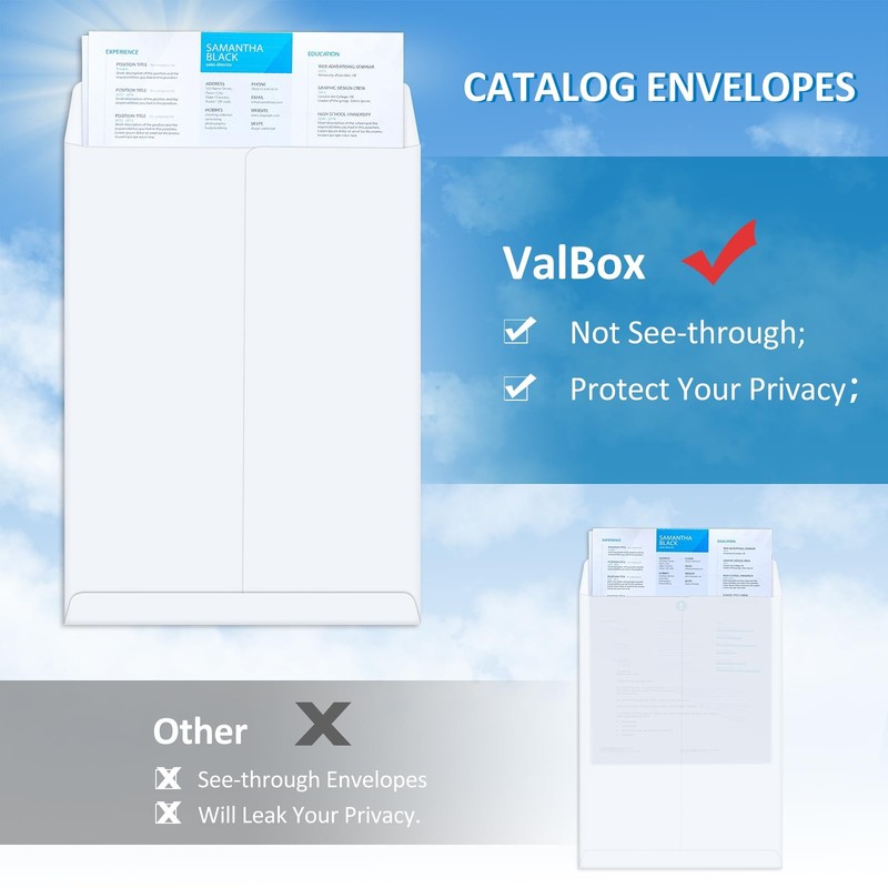 6x9 Self Seal Security Catalog Envelopes 250 Count Small White Envelopes for ... gallery