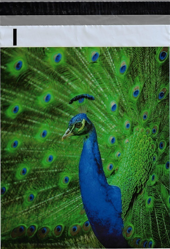 200 10×13 Blue Peacock Designer Poly Mailers Envelopes Boutique Custom Bags