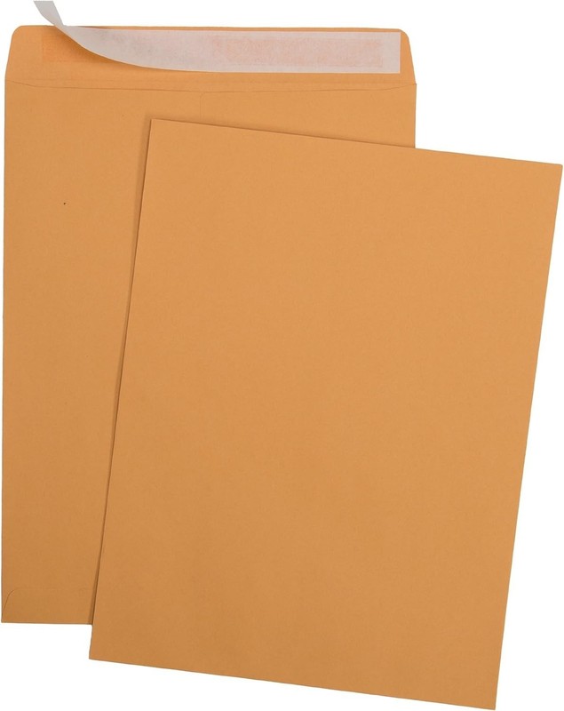 100 Count 9x12 Self-Seal Kraft Envelopes - Perfect for Business Mailing Needs gallery