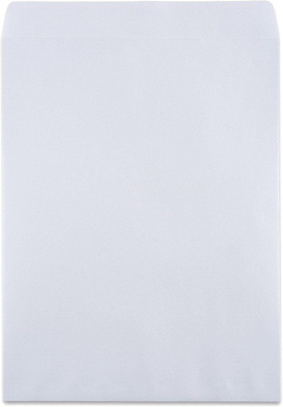 Business-Grade 9x12 Security Tint Envelopes - 100 Count gallery
