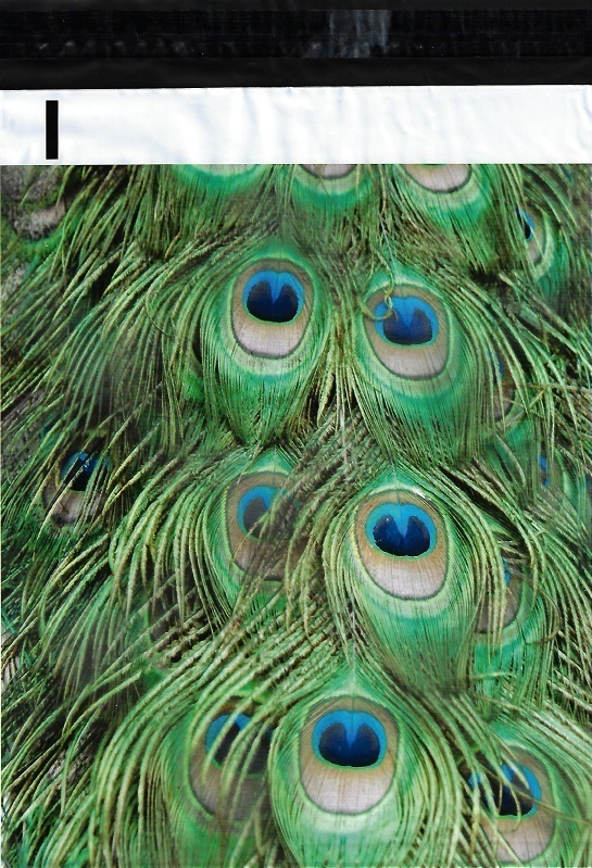 500 10×13 Peacock Feathers Designer Poly Mailers Envelopes Boutique Custom Bags
