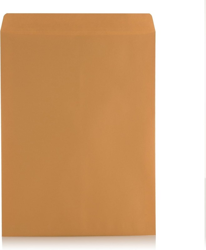 100 Count 9x12 Self-Seal Kraft Envelopes - Perfect for Business Mailing Needs gallery