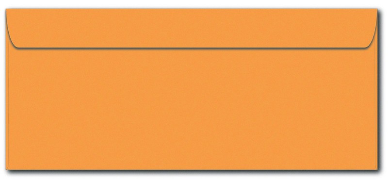 #12 Business Envelopes 4.75″ x 11″ 24lb Golden Kraft 40 Count Pack